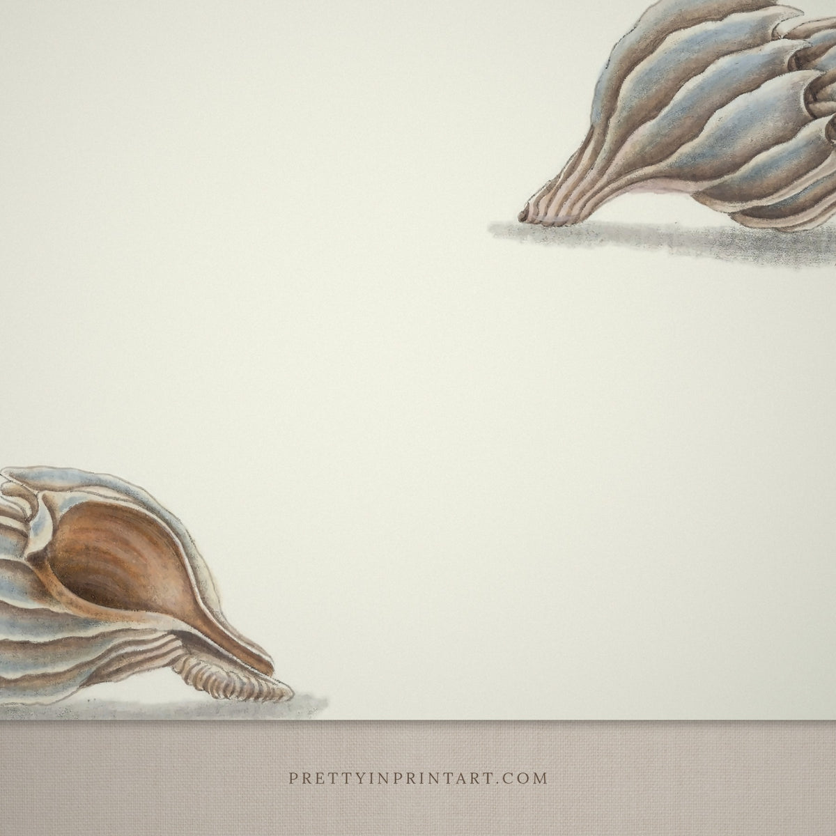 Close-up detail of the vintage pale blue whelk shells print
