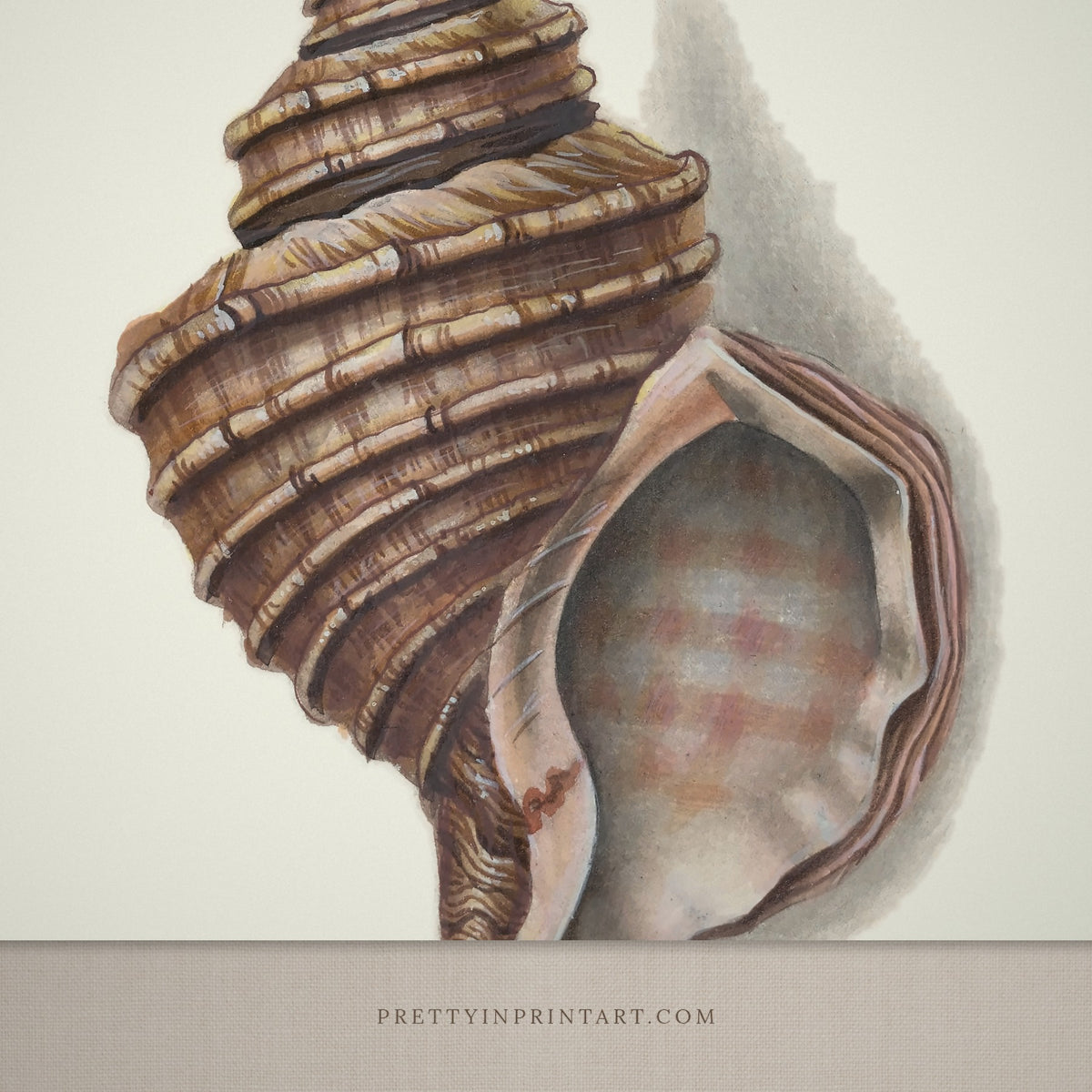 Close-up detail of the vintage rose triton shell print