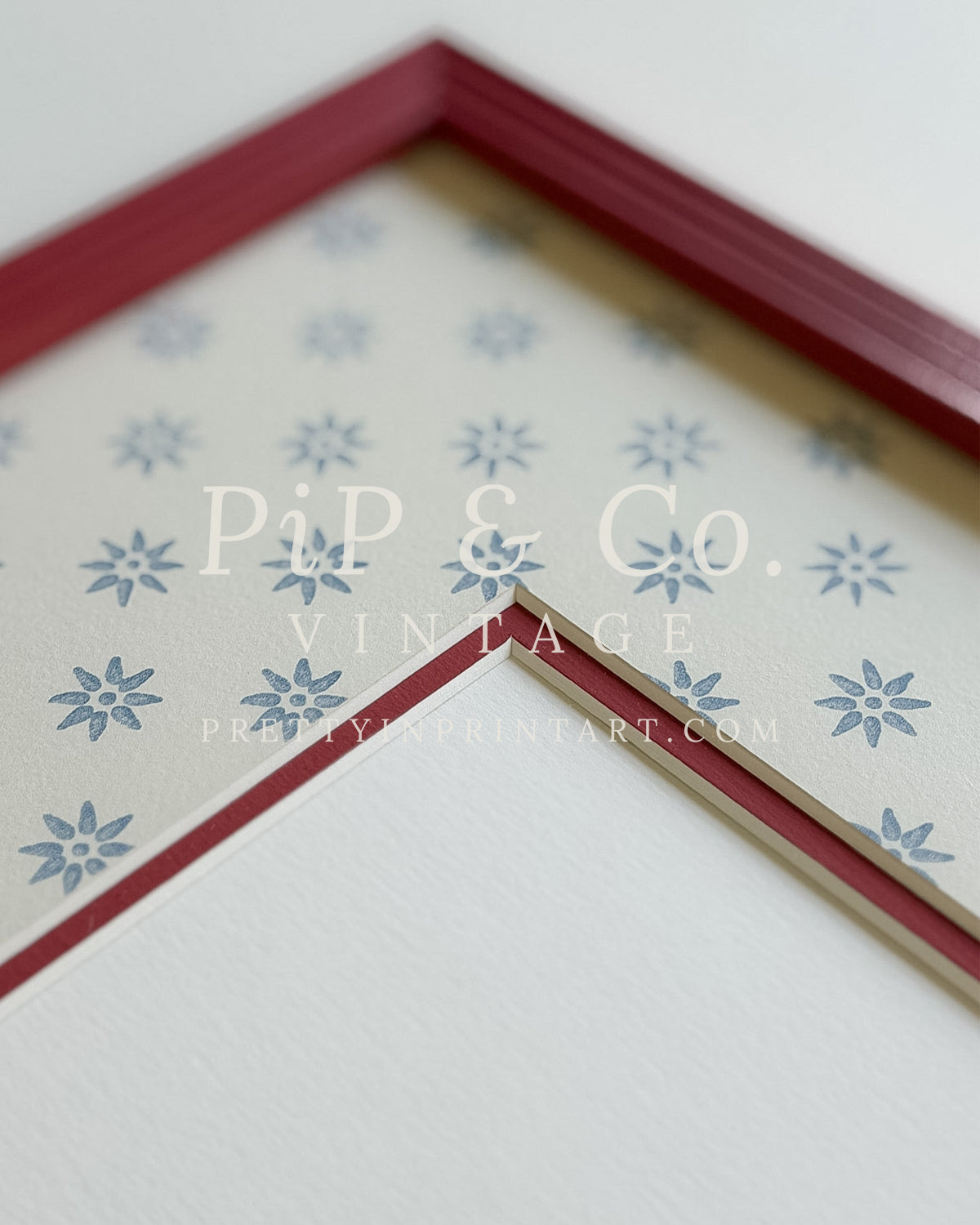 Red Hand Painted Frame | Wallpapered Mount (SW9+M18)