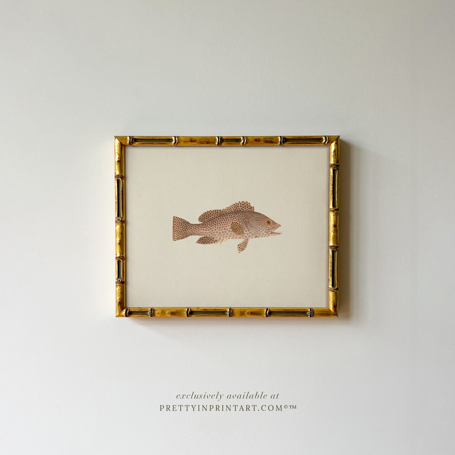 Vintage Fish Art Print 00703 in Gold Bamboo Frame (0178)