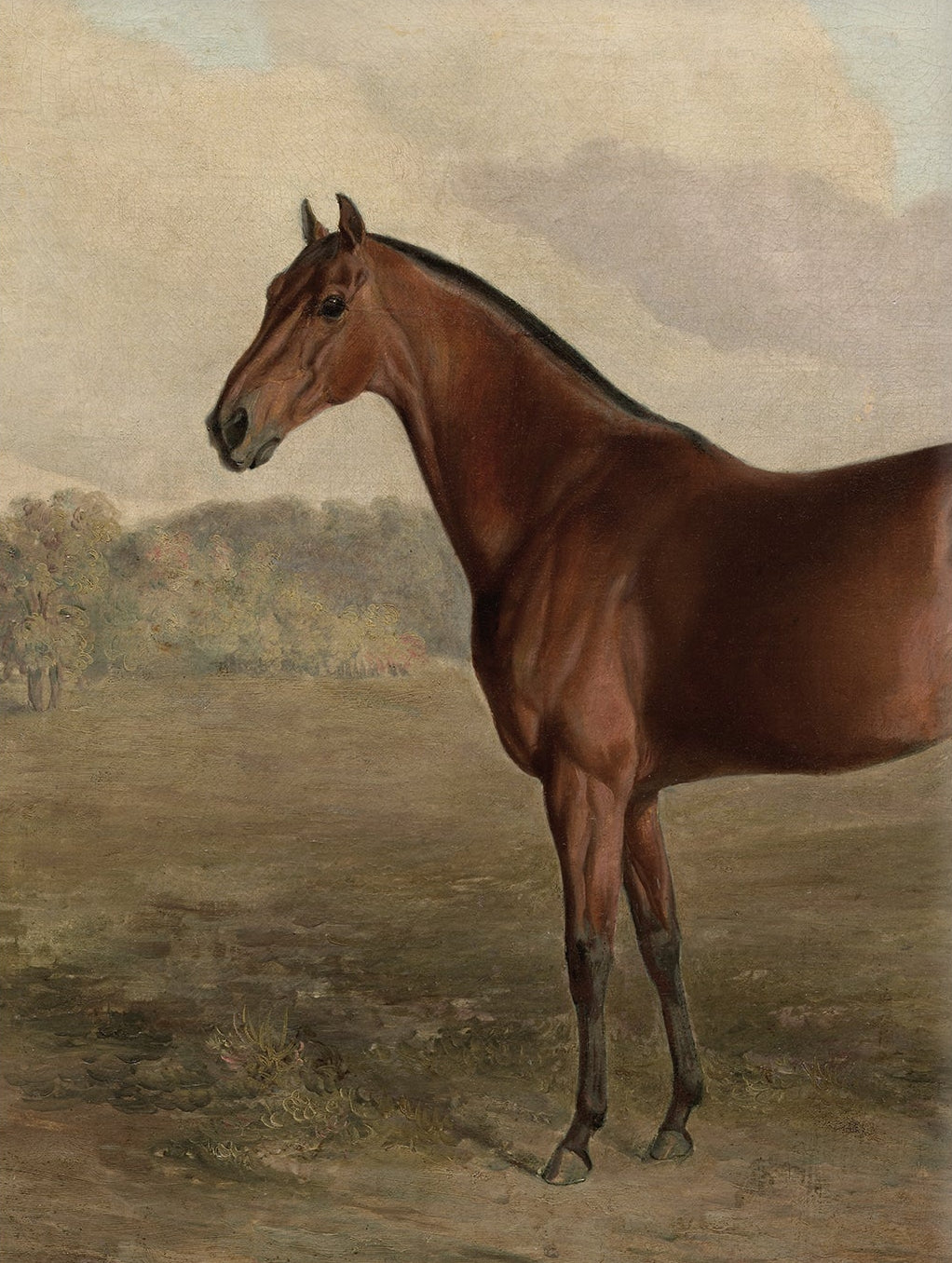Vintage Horse Art Print; 008565 Portrait |  Unframed