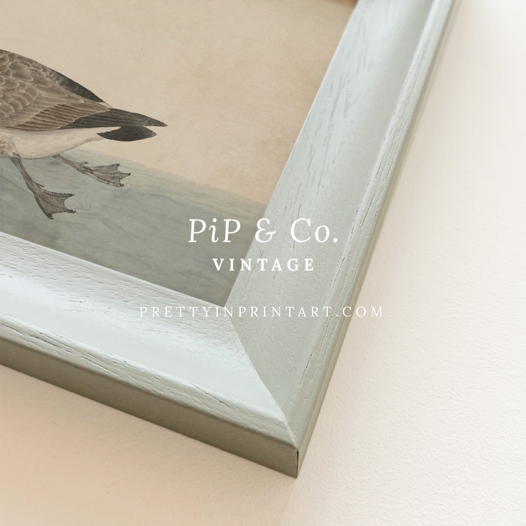 Vintage-style art prints featuring ducks, geese, swans, framed in classic gold or wood frames, perfect for traditional or country-themed vintage nursery, or any room in the home.