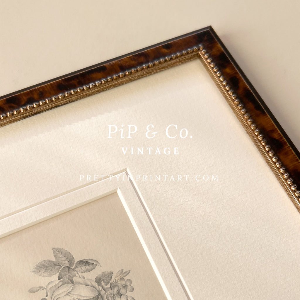 Vintage Flower Art 001 | Frame & Mount – Pretty in Print Art Ltd