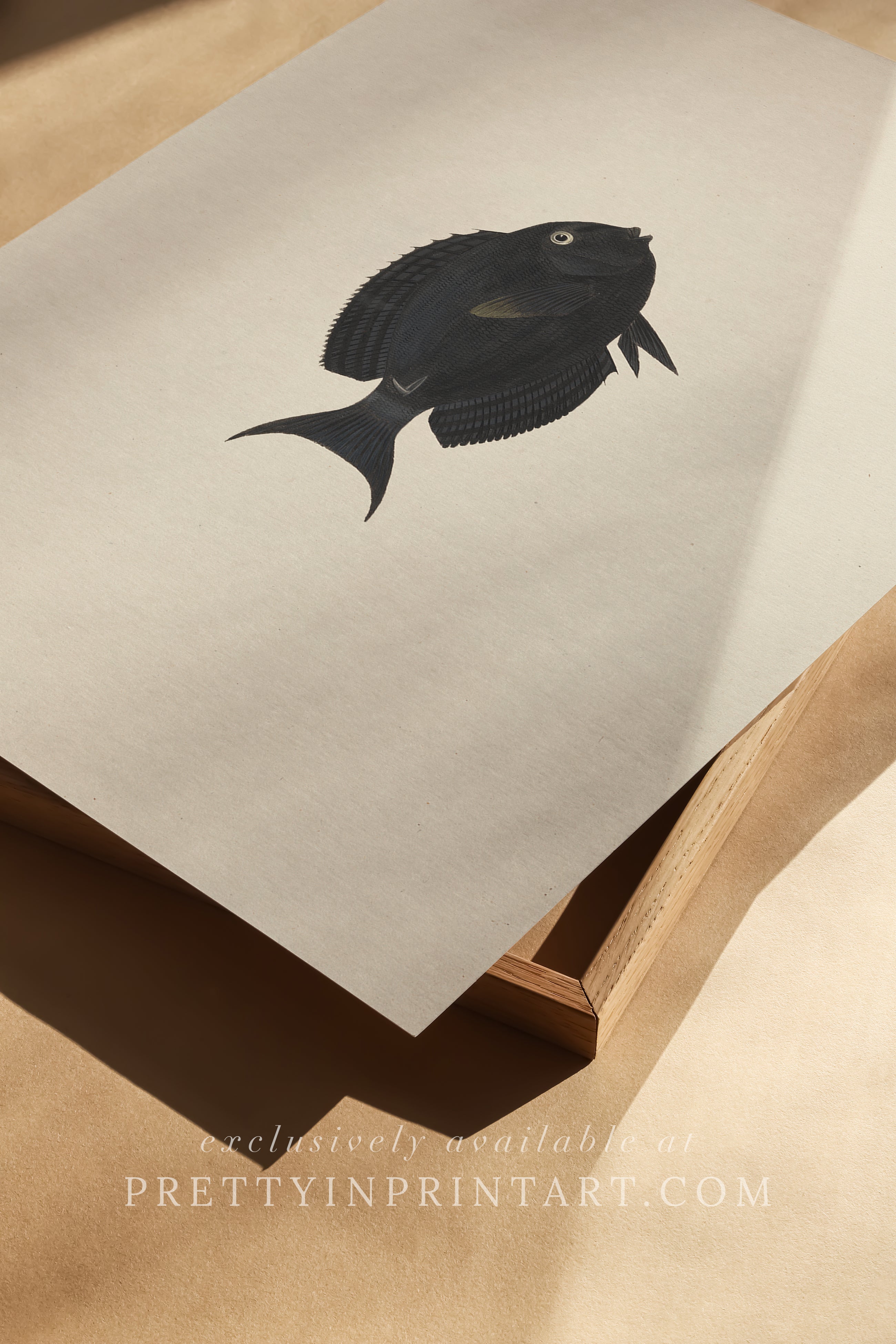 Vintage Fish Art Print 00713 |  Unframed