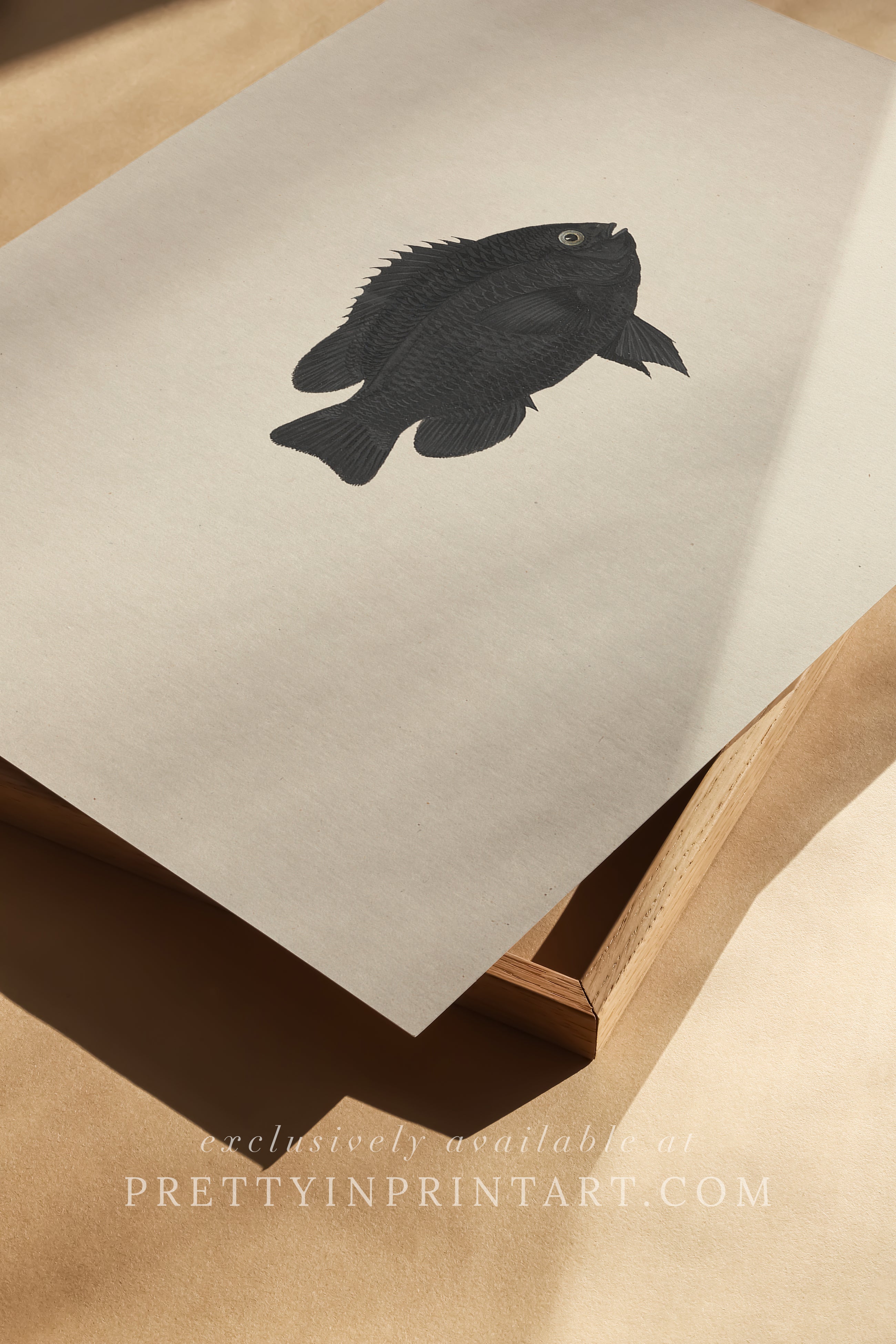 Vintage Fish Art Print 00714 |  Unframed