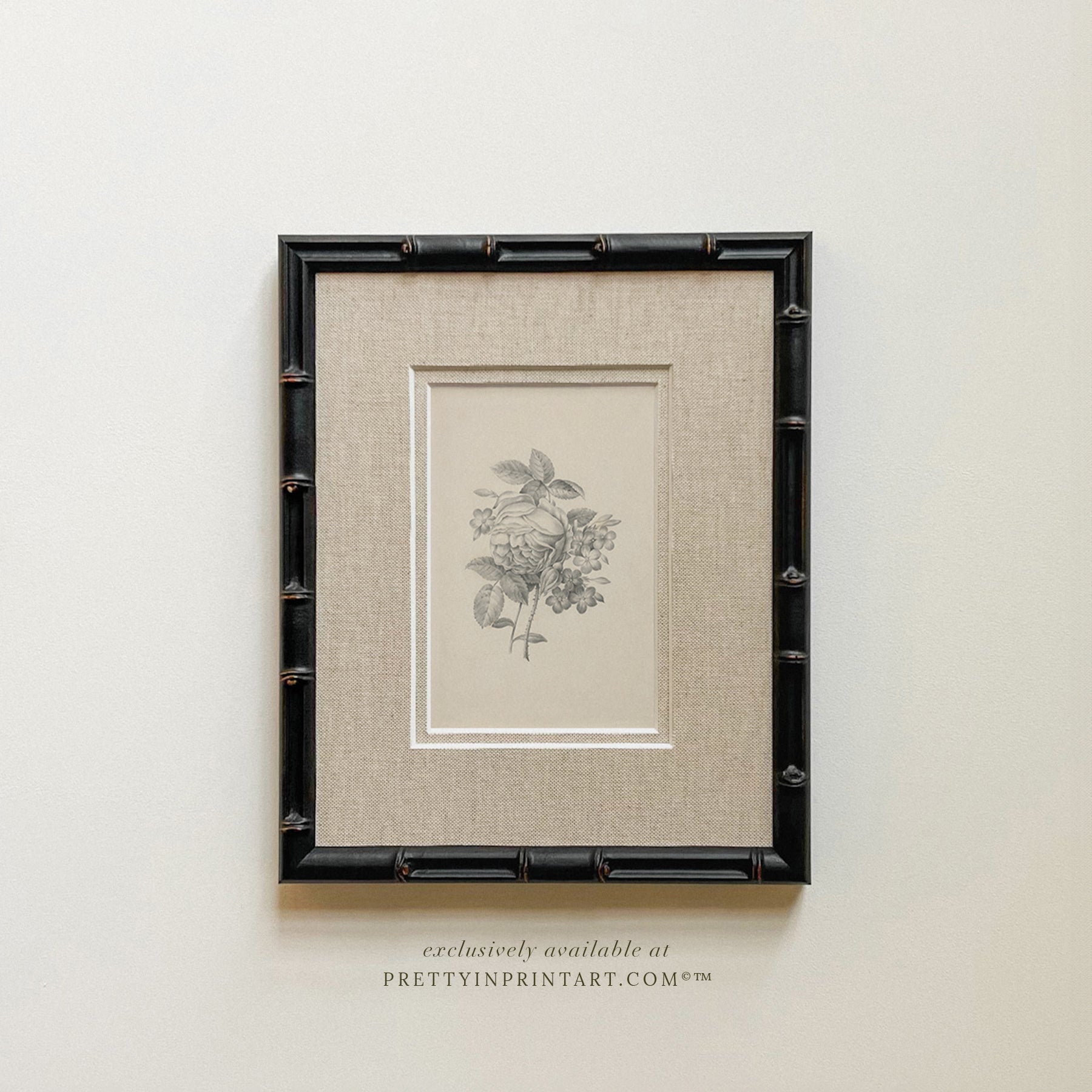 Framed & Mounted Vintage Flower Art 001 | 269