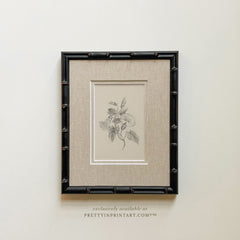 Vintage Flower Art Print Pair – Framed in Black Bamboo Frame with Linen-Style Double Mount (002, 269)