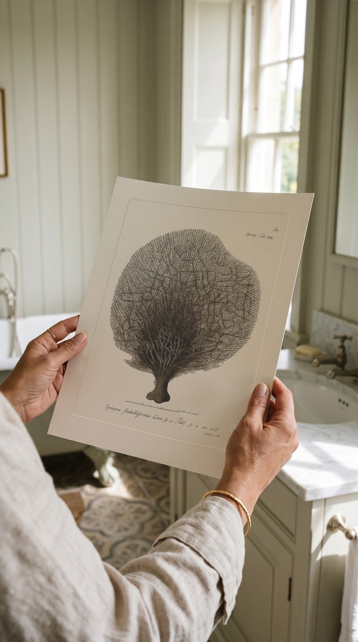 Vintage Dark Fan Sponge Print held up in a bright country bathroom with panelled walls