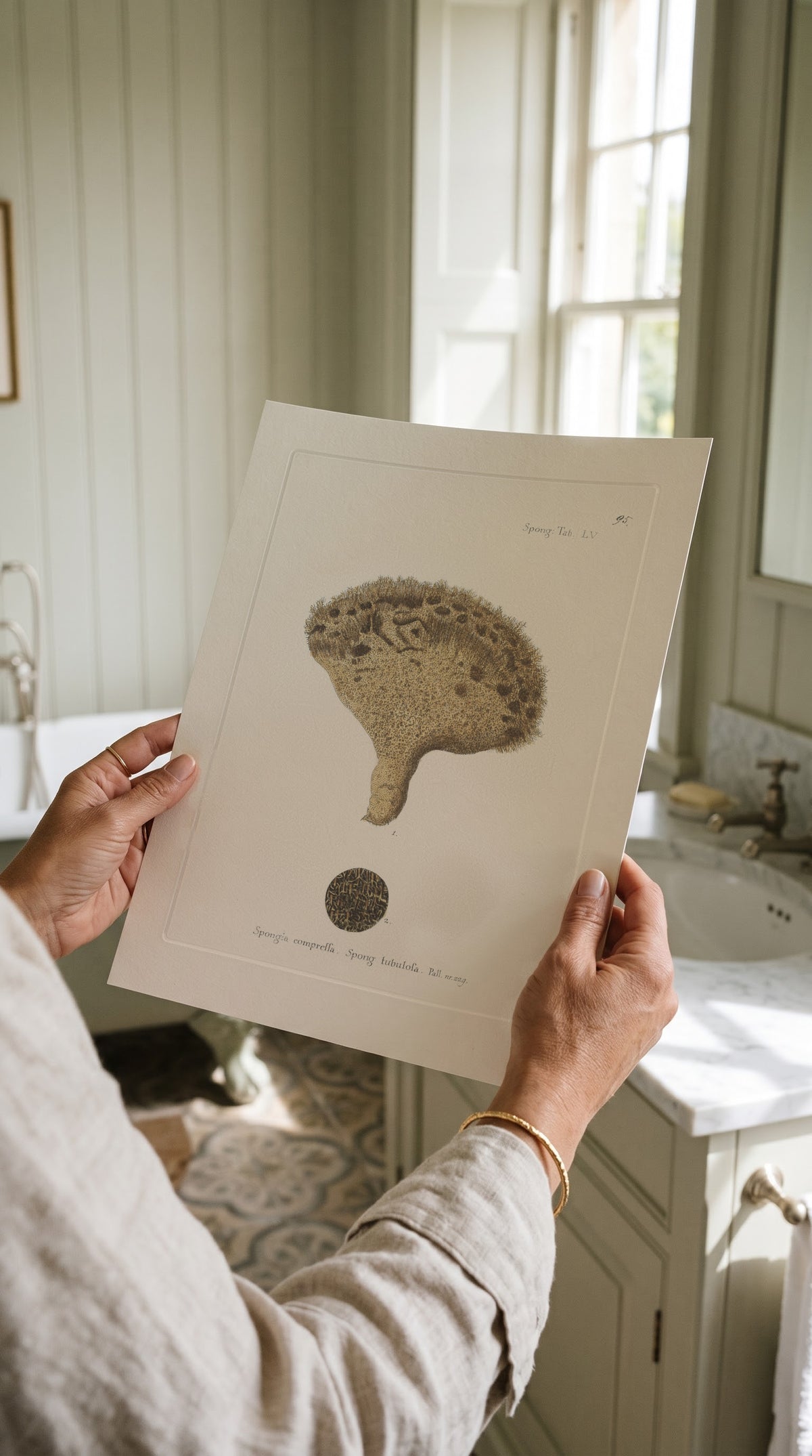 Vintage Golden Mushroom Sponge Print held up in a bright country bathroom with panelled walls