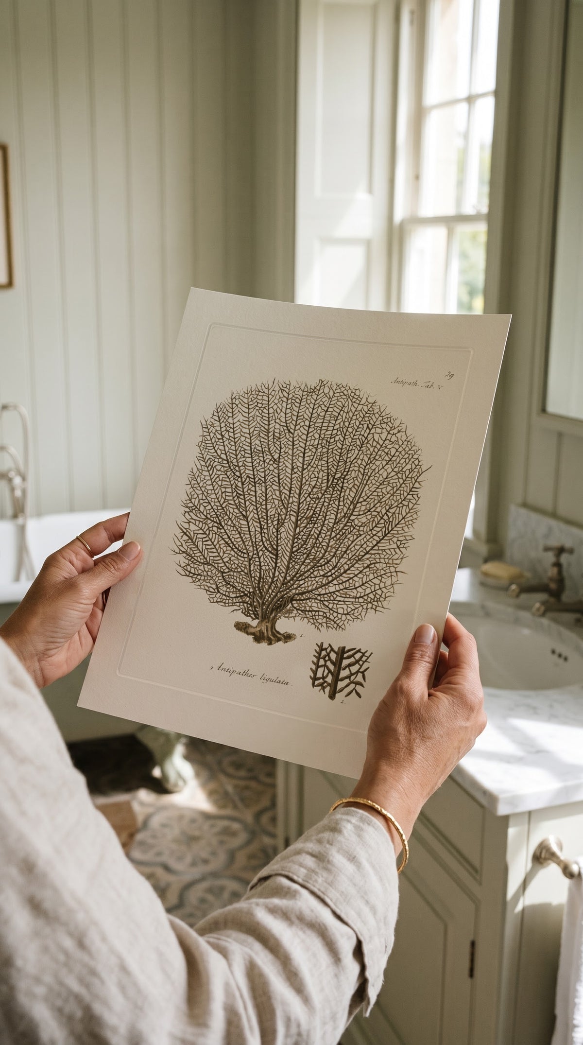 Vintage Sepia Sea Fan Print held up in a bright country bathroom with panelled walls