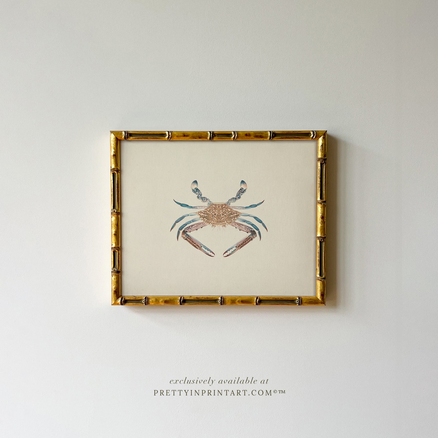 Vintage Crab Art Print 00705 in Gold Bamboo Frame (0178)