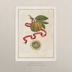 Vintage Citrus Fruit Botanical Art Print – Orange, Lemon & Lime Kitchen Wall Art, Unframed (001)