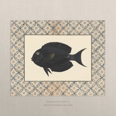 Black Fish Vintage-Style Art Print – Antique Coastal Marine Wall Art, Unframed (002)