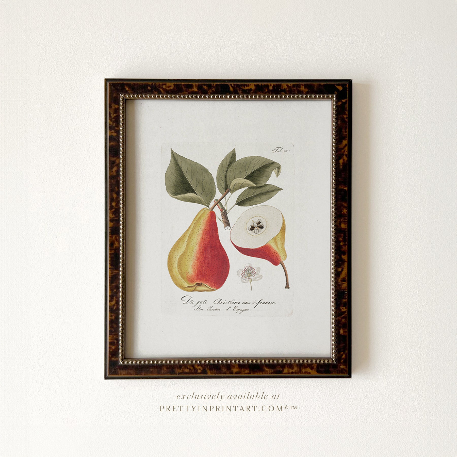 Framed vintage pear still life art print in brown wood frame – classic kitchen wall decor or rustic home styling from Pretty in Print Art.