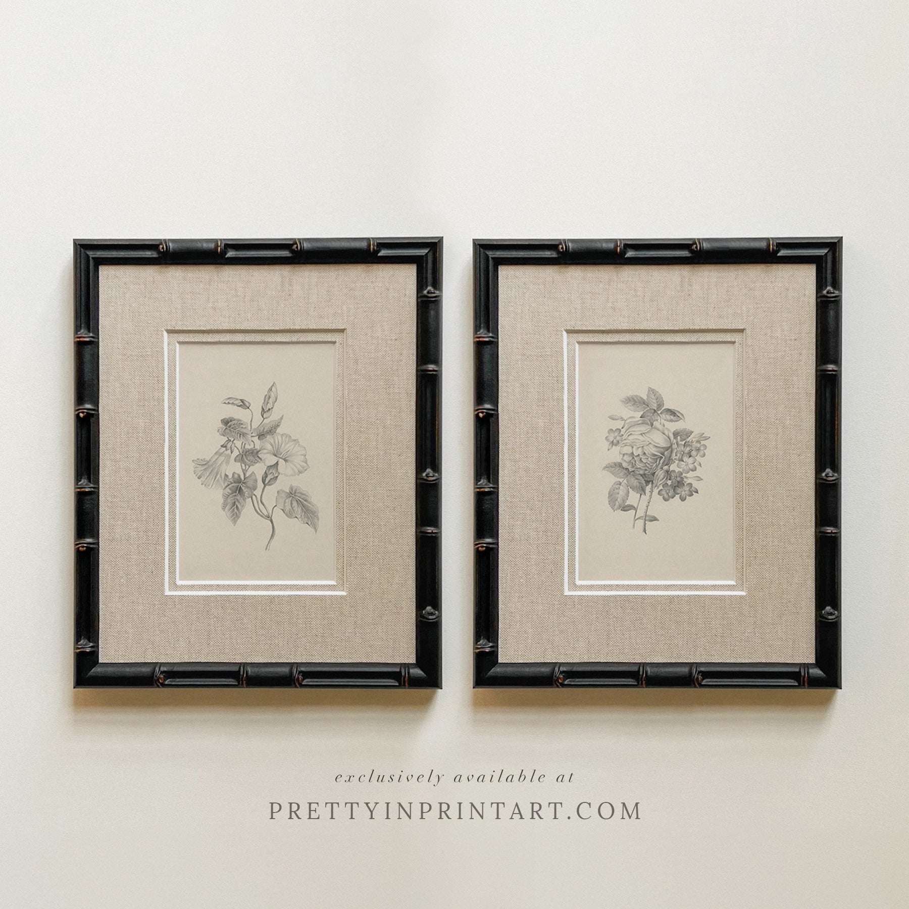 Framed & Mounted Vintage Flower Art | 269