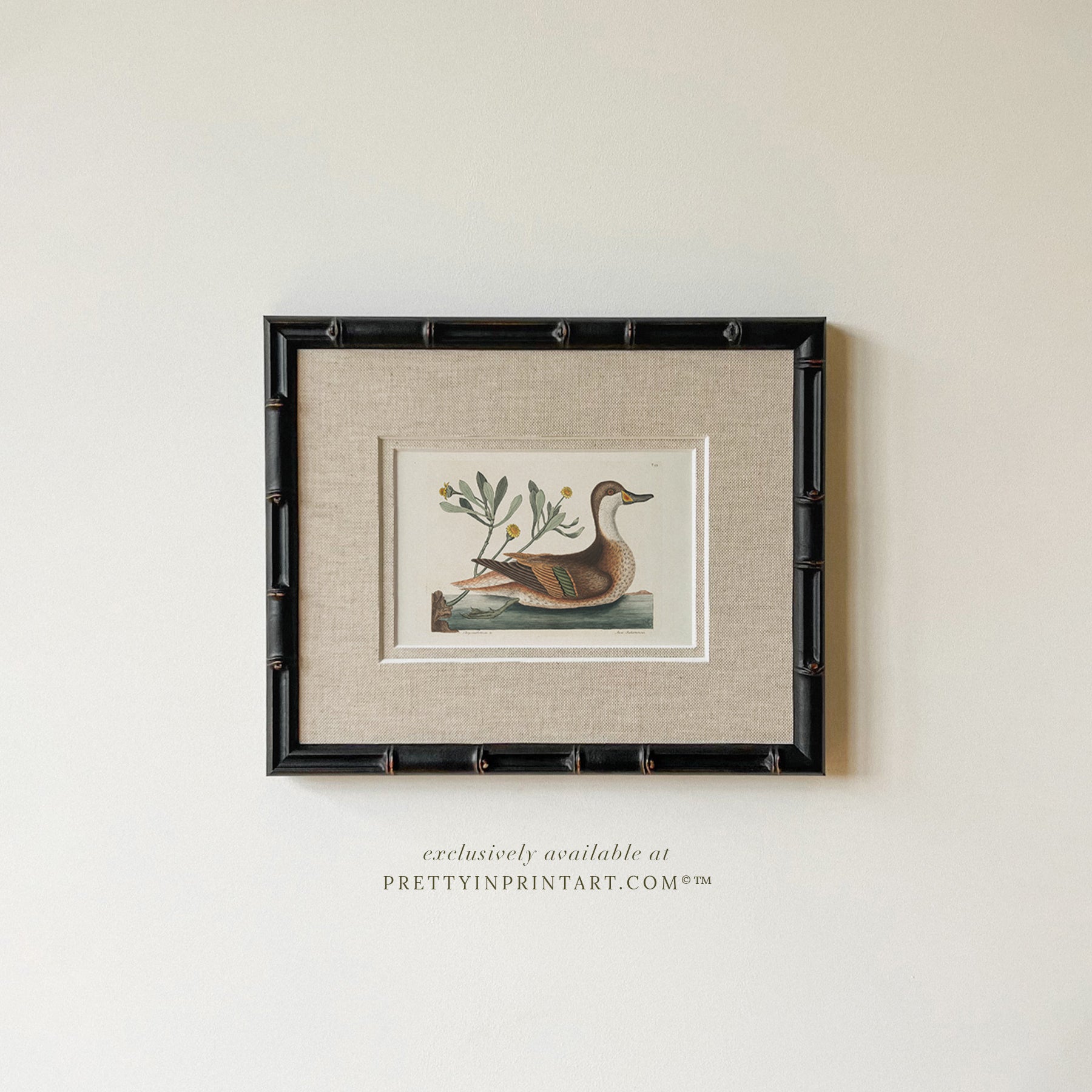 Framed & Mounted Vintage Duck Art 003482 | 269