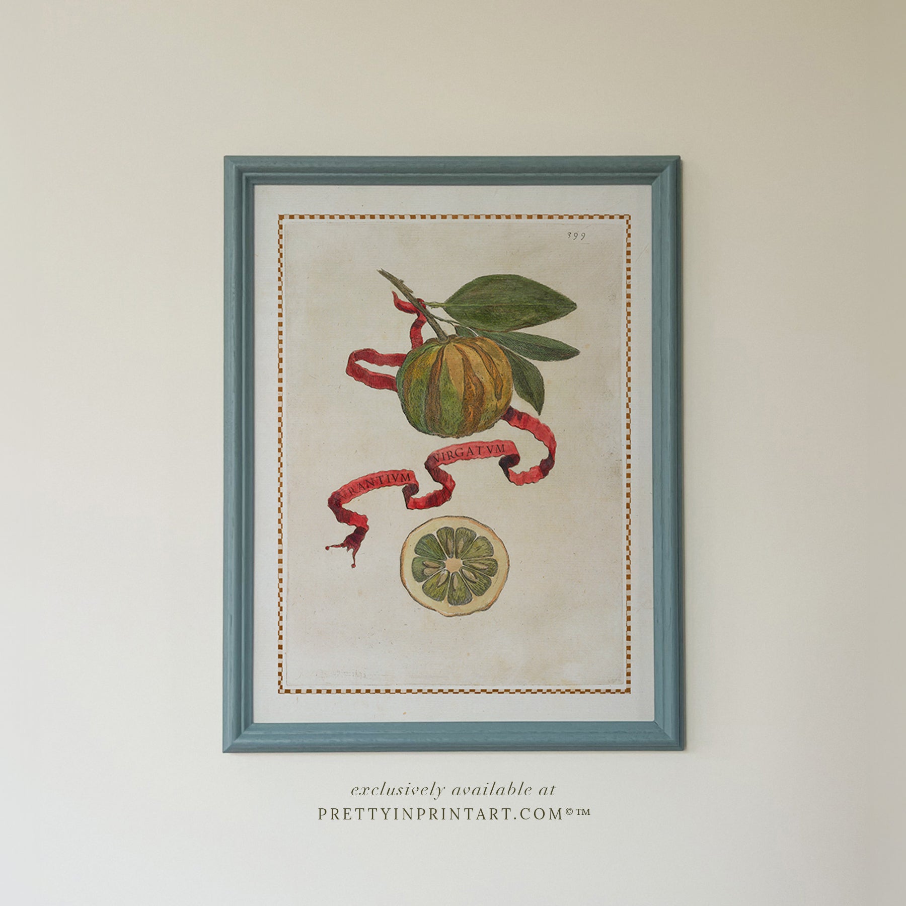 Framed Vintage Citrus Fruit Kitchen Art – Blue Farrow & Ball Frame 001