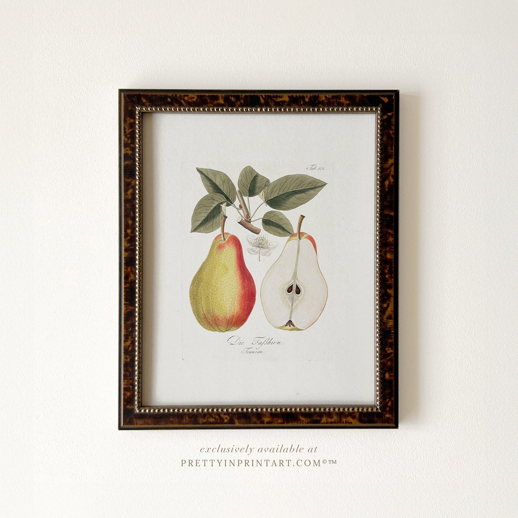 Framed vintage pear still life art print in brown wood frame – classic kitchen wall decor or rustic home styling from Pretty in Print Art.