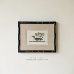 Framed & Mounted Vintage Duck Art 003481 | 269