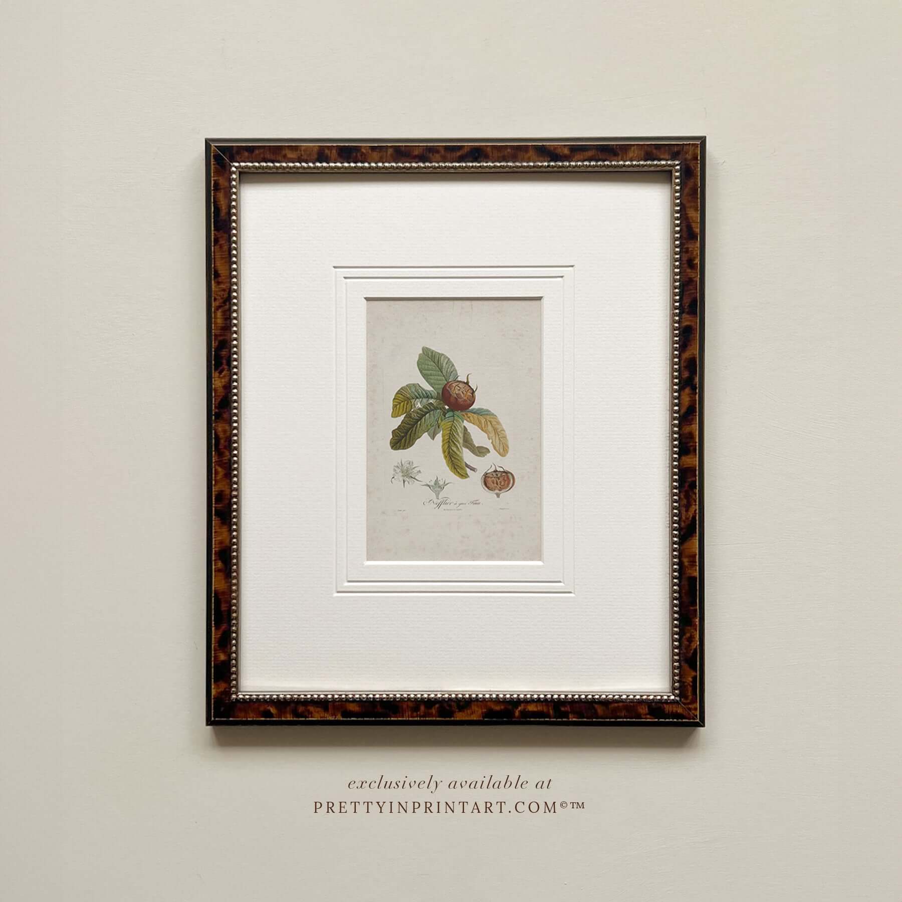 Framed still life vintage art print featuring botanical elements in a tortoise frame, perfect for farmhouse kitchen decor.