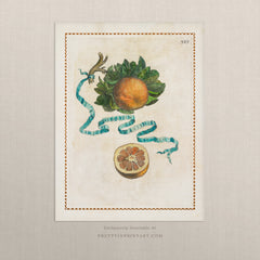 Vintage Citrus Fruit Art Print – Lemon, Lime & Orange Kitchen Wall Decor, Unframed (004)