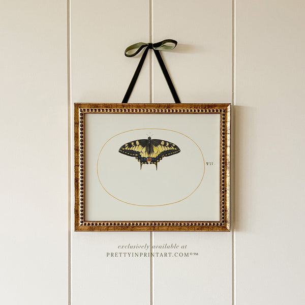 Butterfly Framed Art 001 (GOLD-0160)