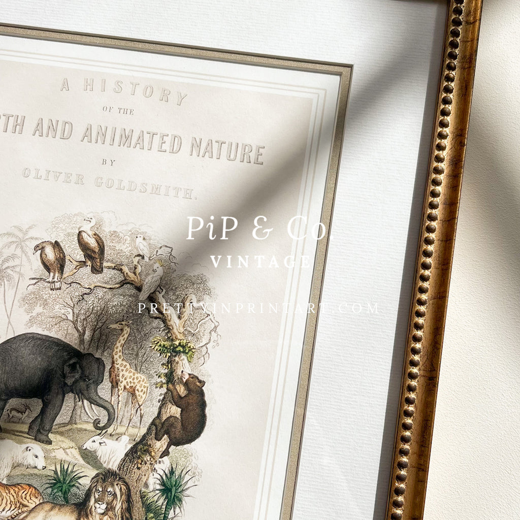 Animal Nursery Art - Antique Gold Frame