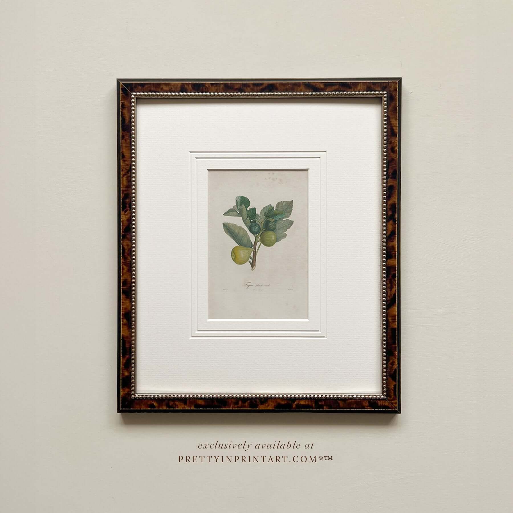Framed still life vintage art featuring fruit in a tortoise effect frame and off white mount board.