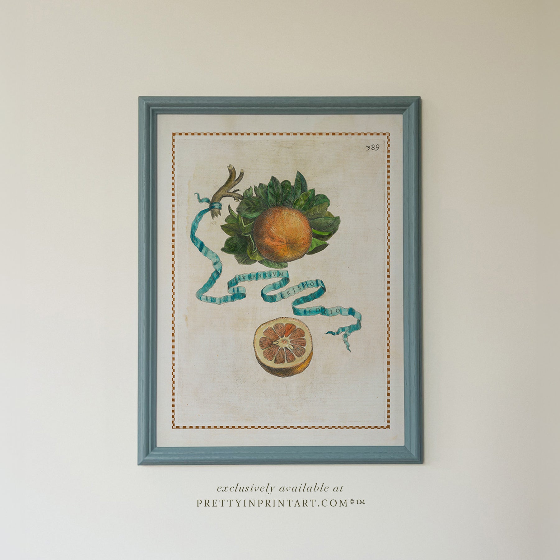 Framed Vintage Italian Citrus Fruit Print – Blue Farrow & Ball Frame 004