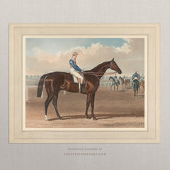 Vintage Race Horse Art Print – Equestrian Art 003 |  Unframed
