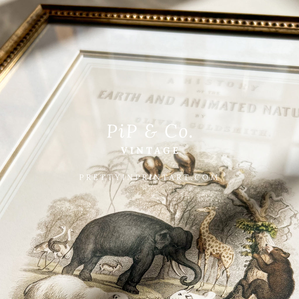 Animal Nursery Art - Antique Gold Frame