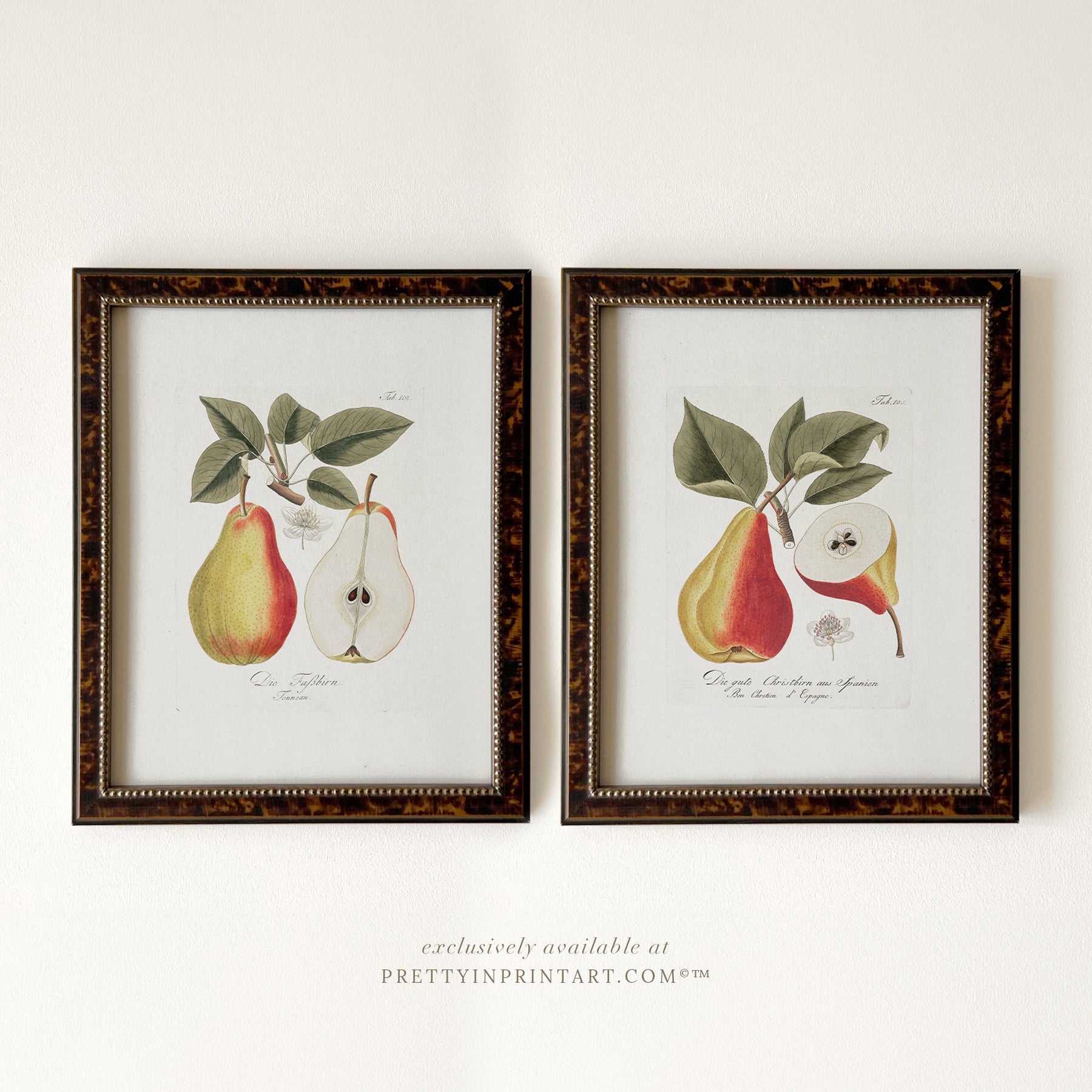 Framed vintage pear still life art print in brown wood frame – classic kitchen wall decor or rustic home styling from Pretty in Print Art.