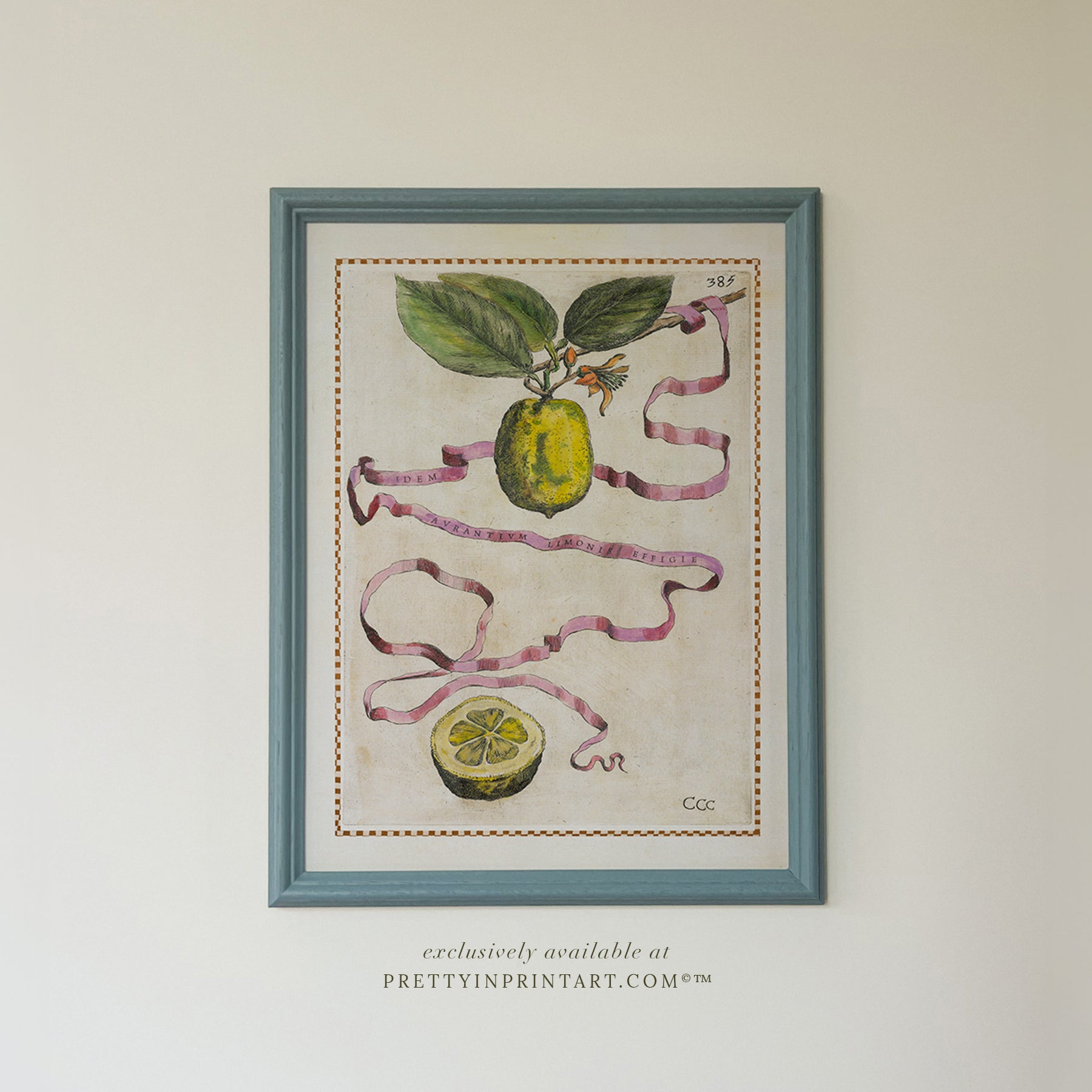 Botanical Citrus Fruit Wall Art – Framed in Blue Hand-Painted Farrow & Ball Frame 002