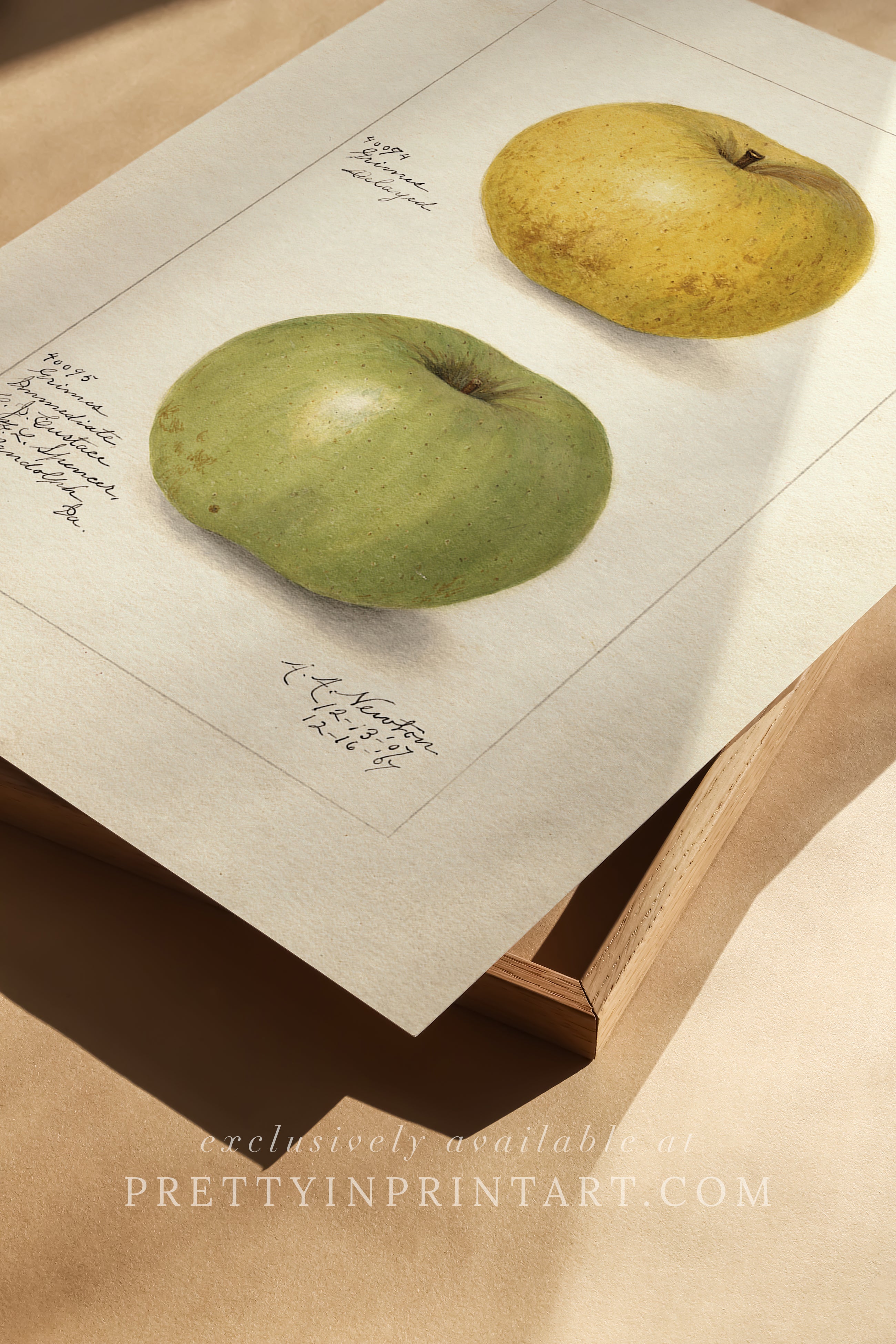Black bobbin frame with vintage fruit botanical still life art for cottagecore, farmhouse, and traditional interiors