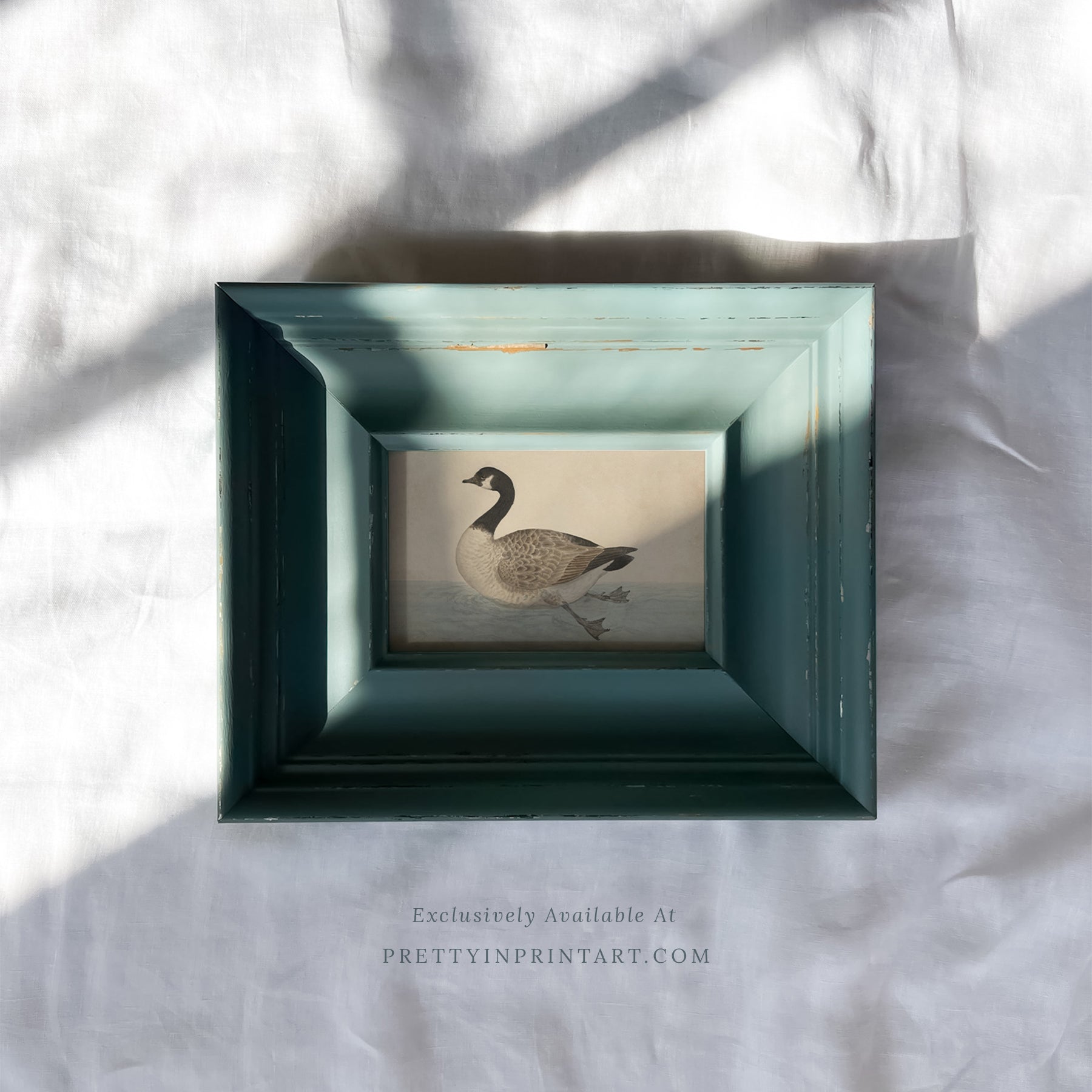 Vintage-style art prints featuring ducks, geese, swans, framed in classic gold or wood frames, perfect for traditional or country-themed vintage nursery, or any room in the home.