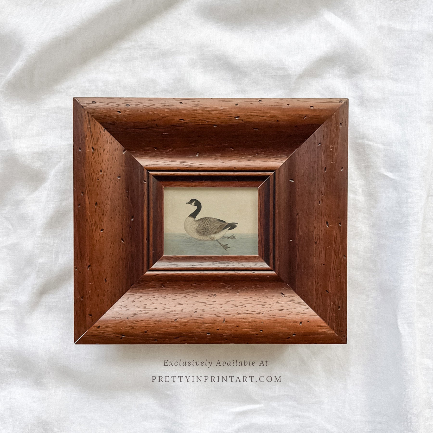 Vintage-style art prints featuring ducks, geese, swans, framed in classic gold or wood frames, perfect for traditional or country-themed vintage nursery, or any room in the home.