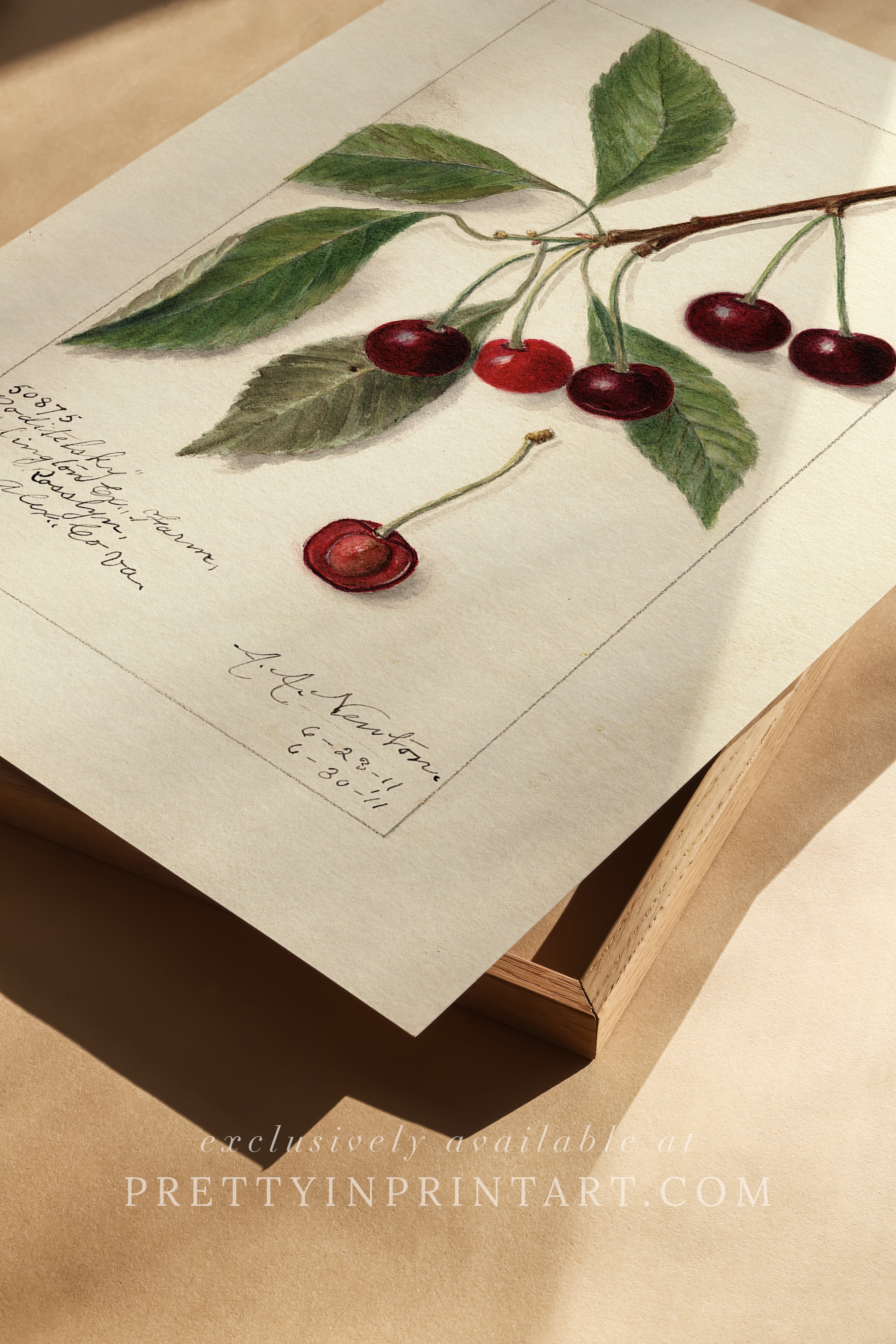Black bobbin frame with vintage fruit botanical still life art for cottagecore, farmhouse, and traditional interiors