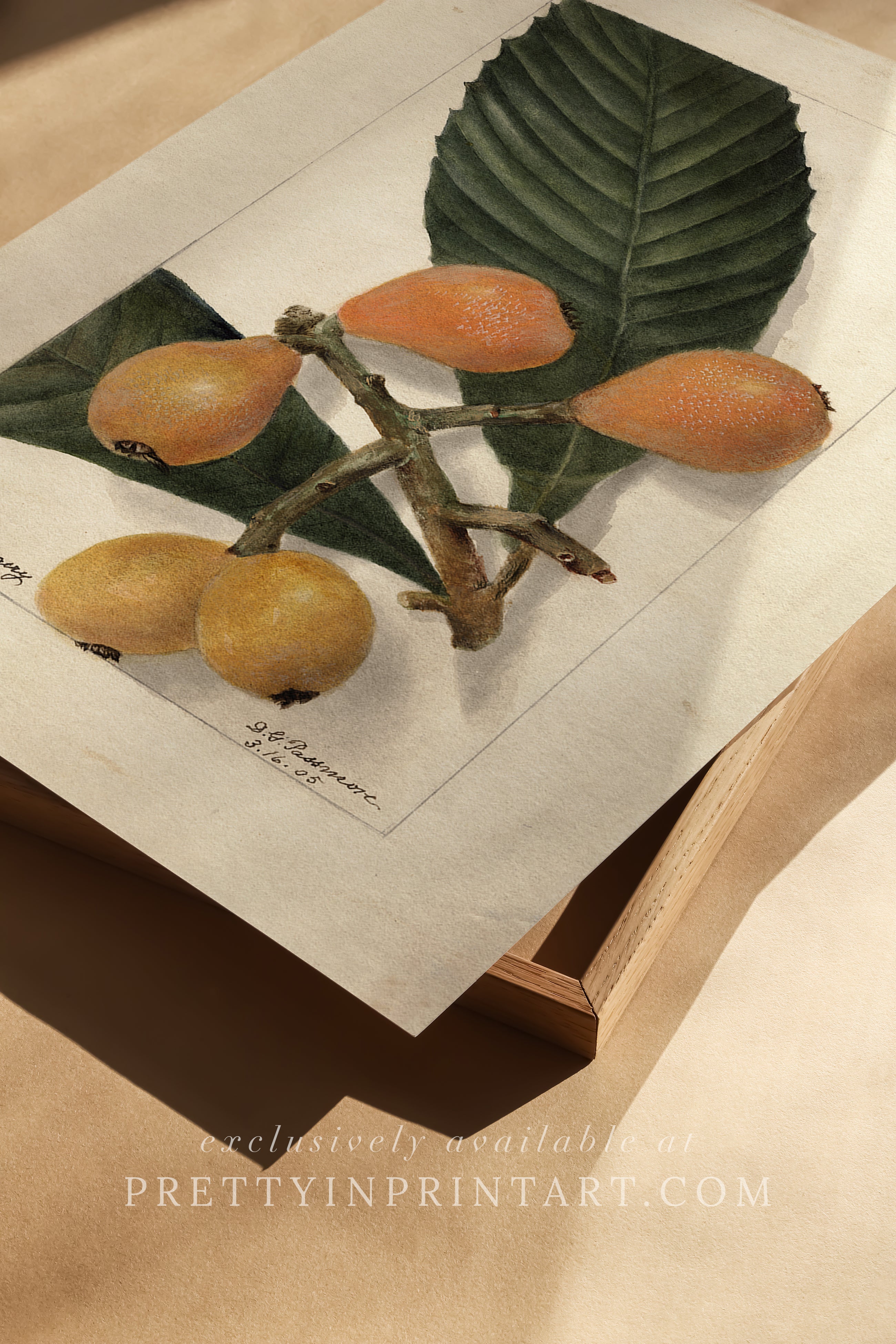 Black bobbin frame with vintage fruit botanical still life art for cottagecore, farmhouse, and traditional interiors
