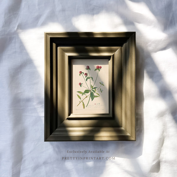 Hand Painted Frame | PT-10928 (UK ONLY)