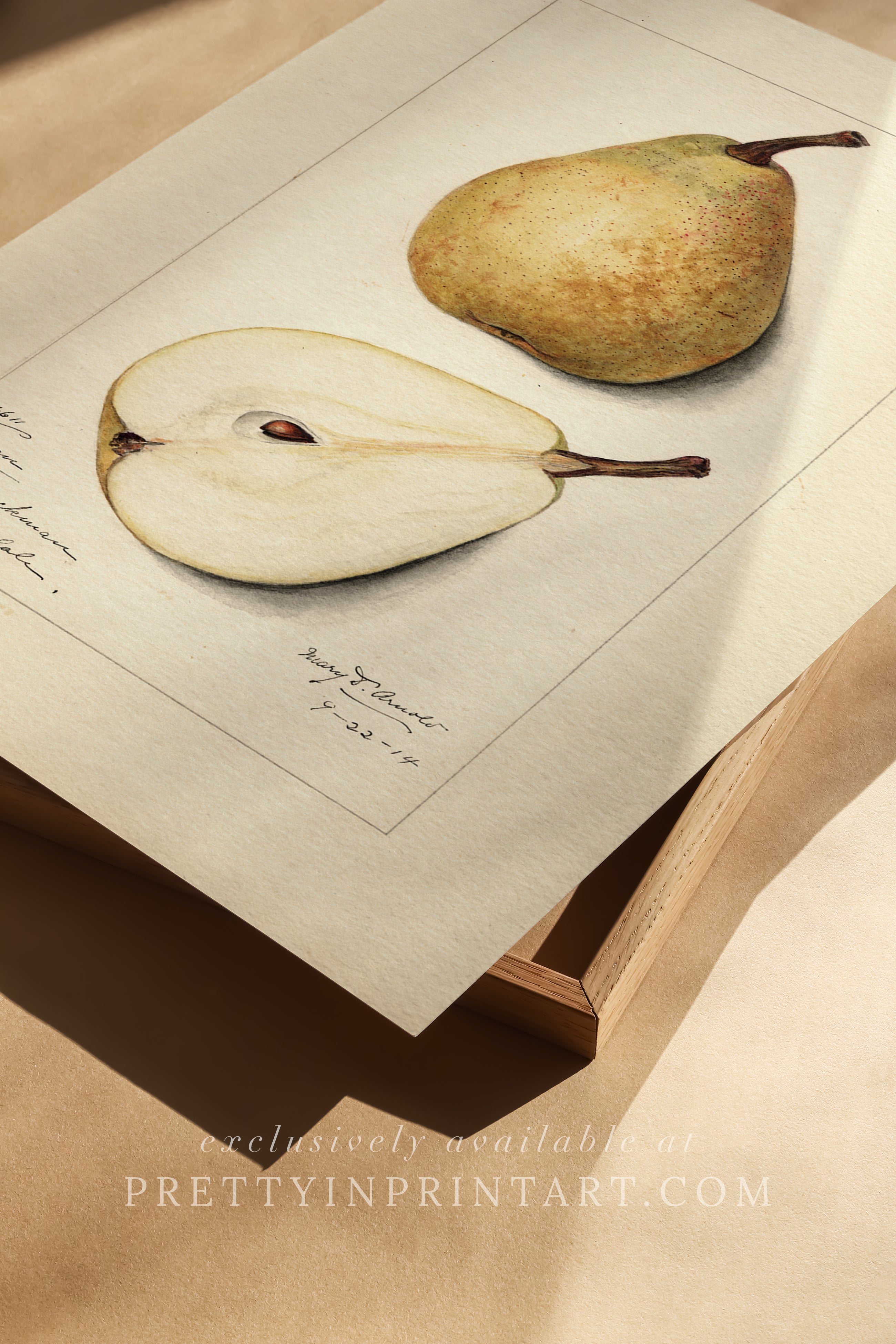 Black bobbin frame with vintage fruit botanical still life art for cottagecore, farmhouse, and traditional interiors
