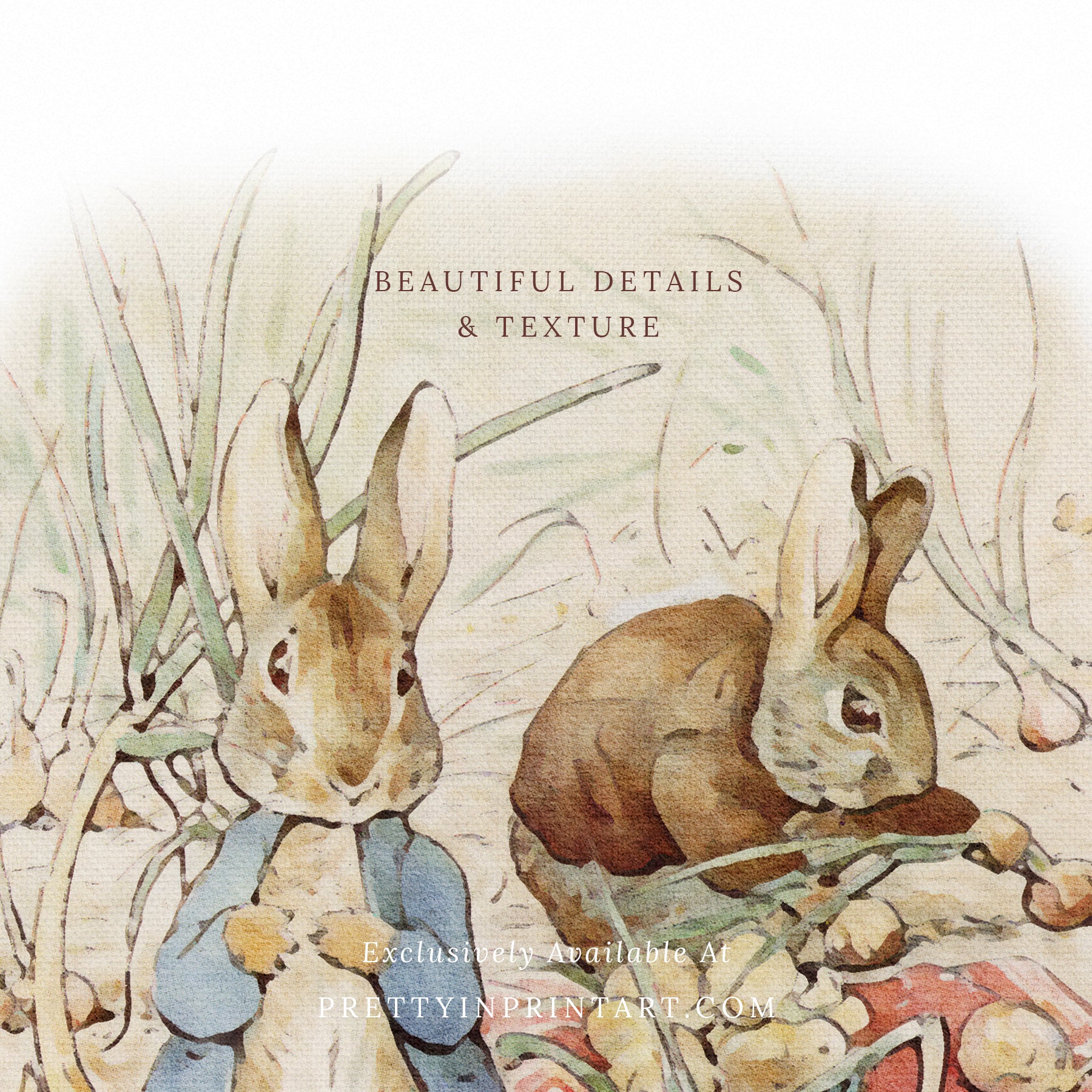 vintage Beatrix Potter nursery art print featuring Peter Rabbit in ornate gold picture frame, perfect for classic baby room decor