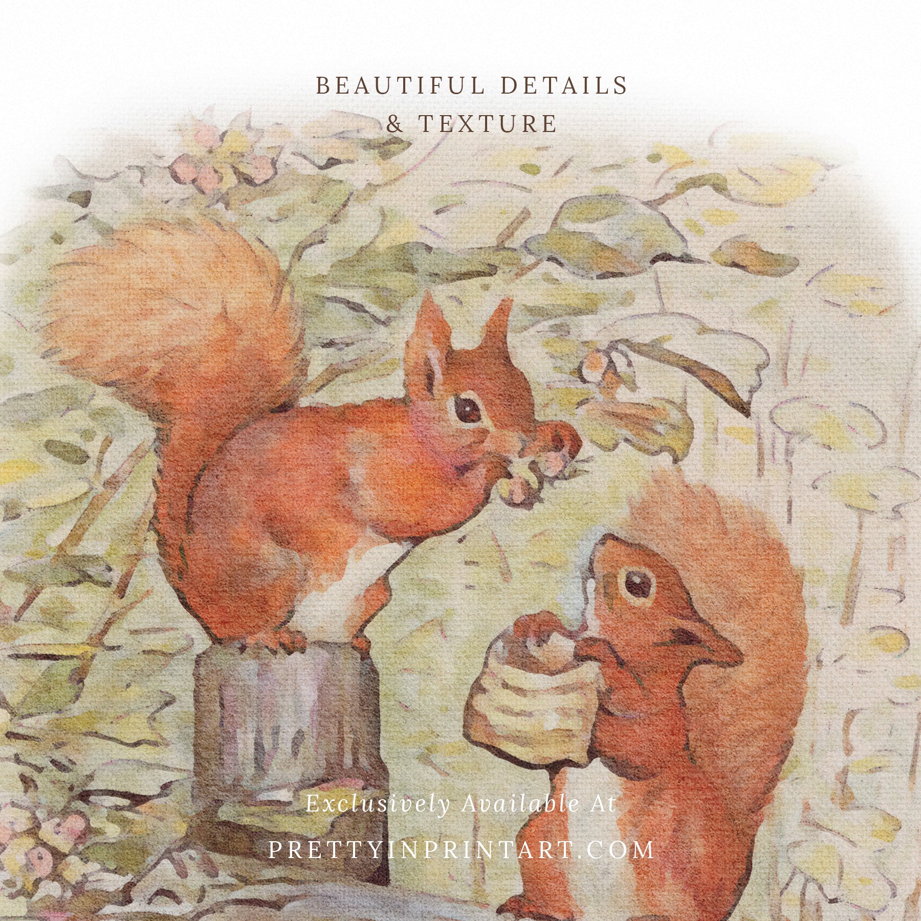 vintage Beatrix Potter nursery art print featuring Peter Rabbit in ornate gold picture frame, perfect for classic baby room decor