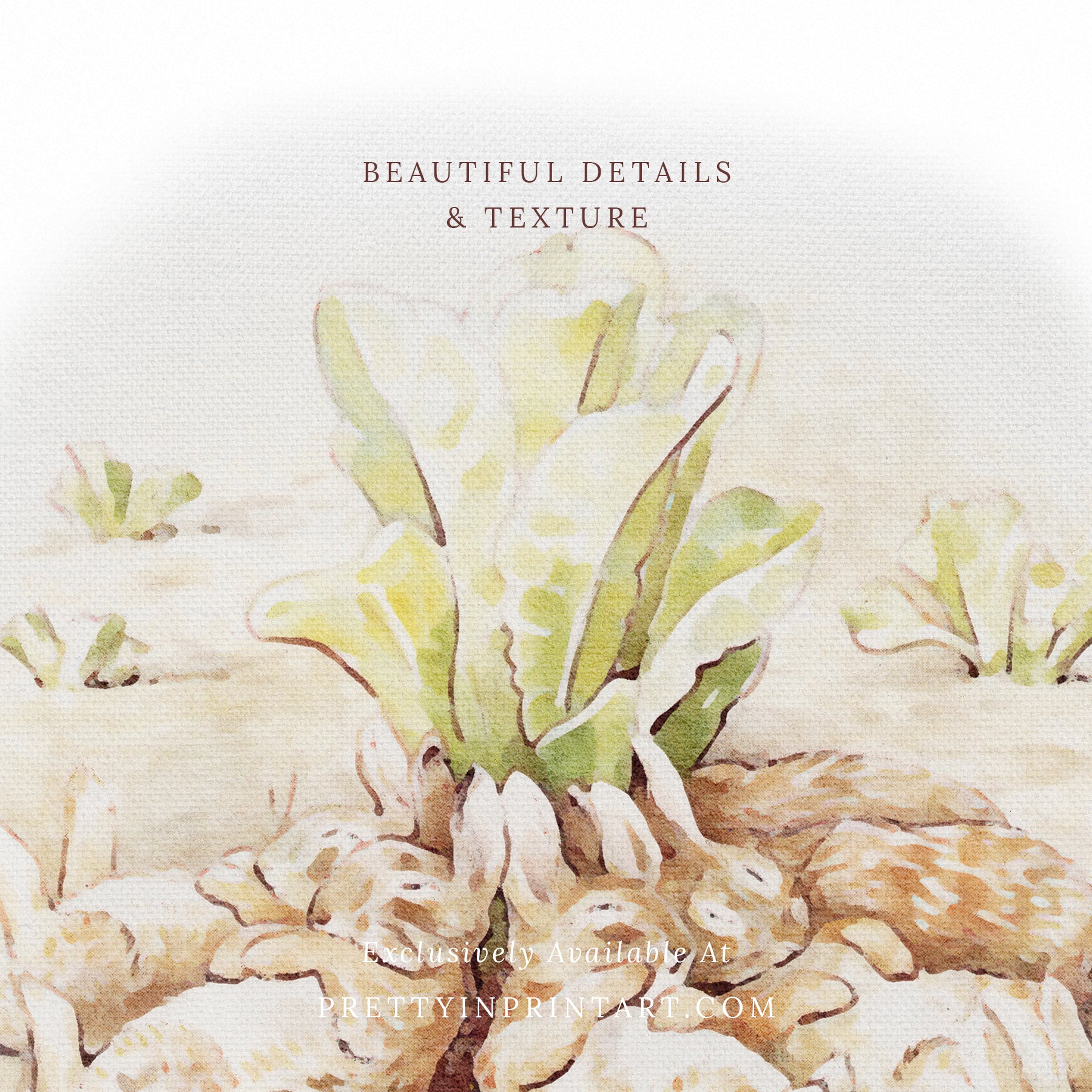 Beatrix Potter nursery art Vintage Beatrix Potter prints Beatrix Potter illustrations Peter Rabbit wall art Beatrix Potter baby room decor Framed Beatrix Potter prints Antique storybook nursery art Classic children’s book art Beatrix Potter animal prints