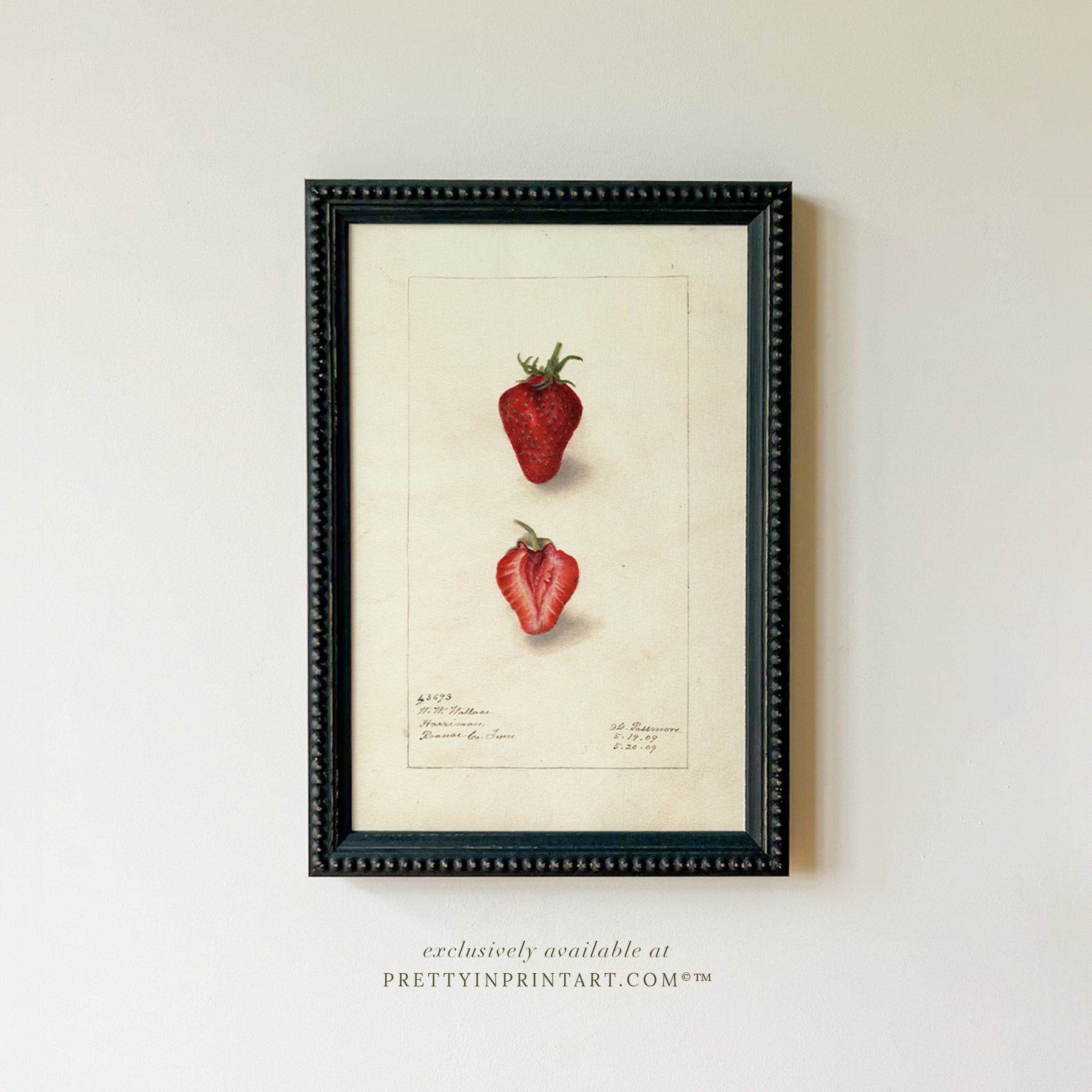 Framed Vintage Fruit Art | Strawberry 001