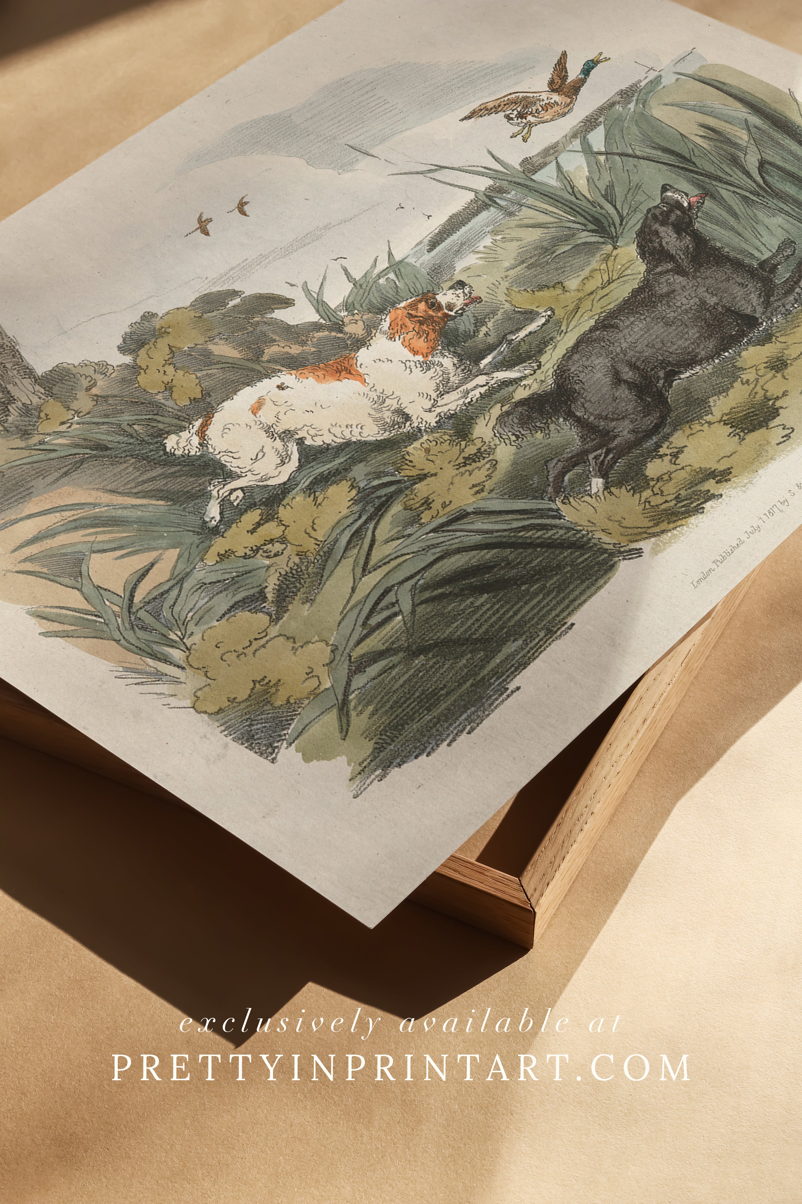 vintage-hunting-dog-wall-art-set-in-gold-frames