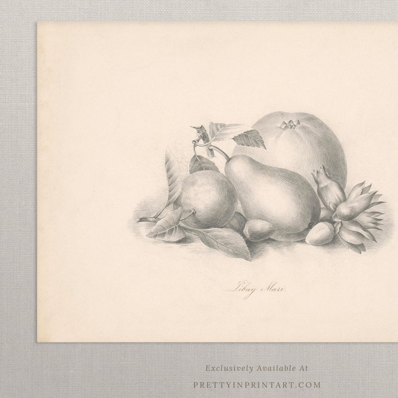 Vintage Still Life Art 00519 |  Unframed