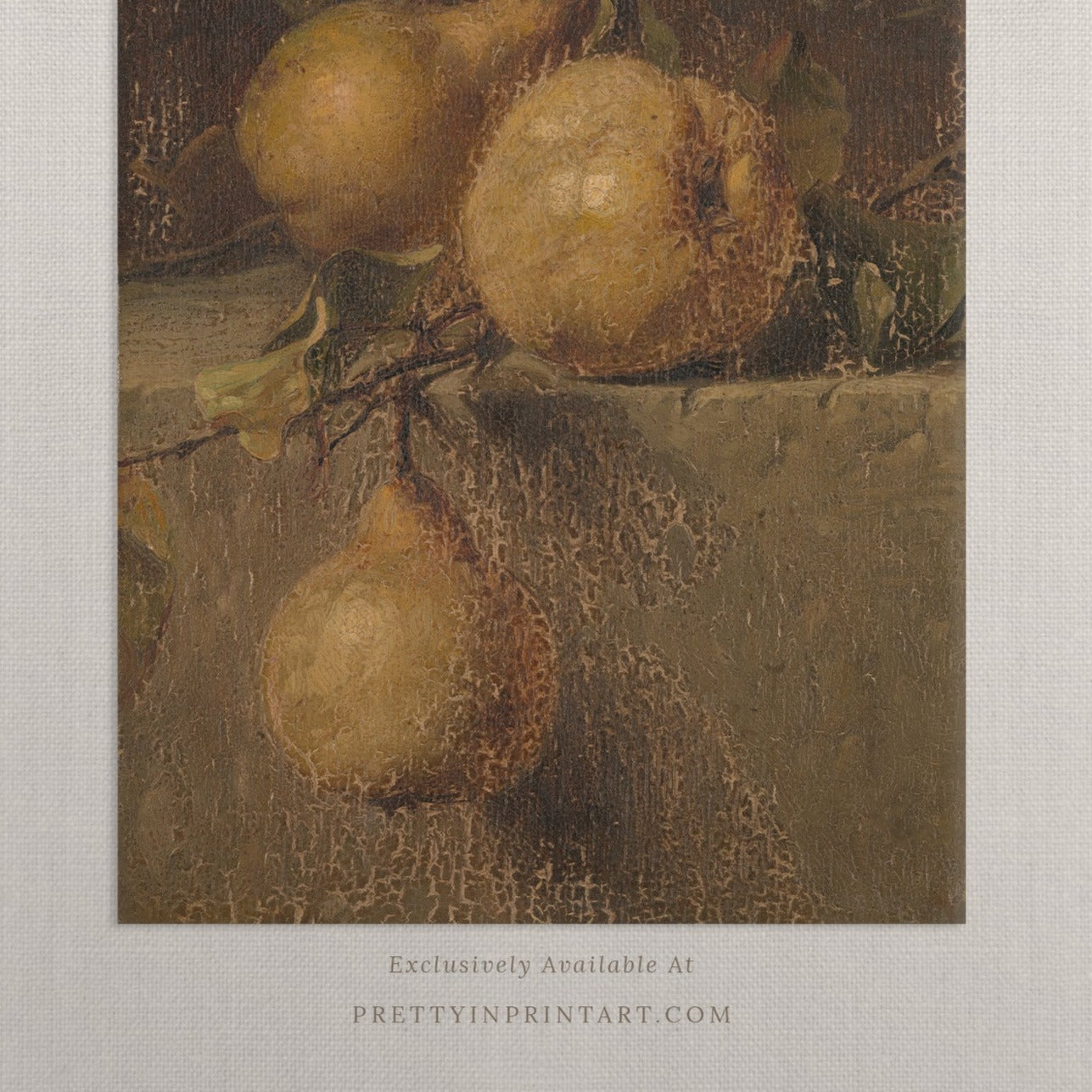 Vintage Still Life Pear Art 00544 |  Unframed