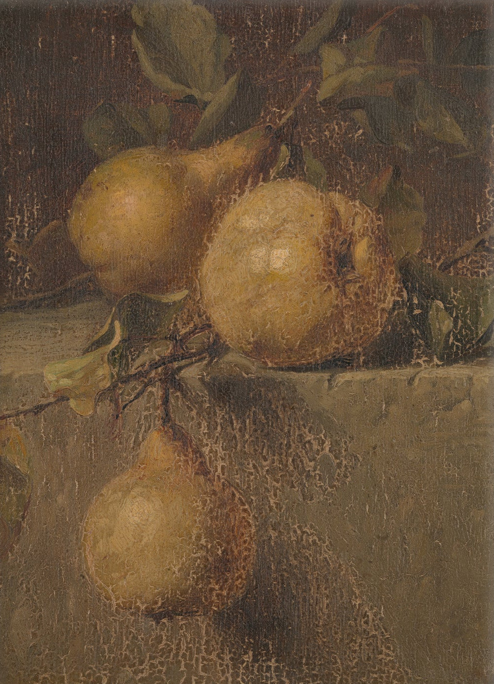 Vintage Still Life Pear Art 00544 |  Unframed
