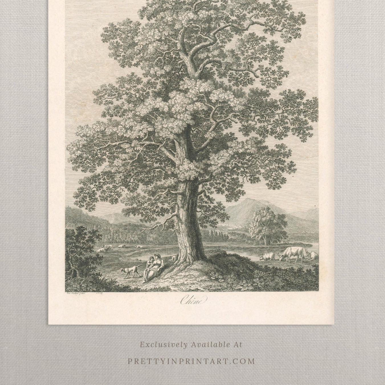 Vintage Tree Etching Art 00515 |  Unframed