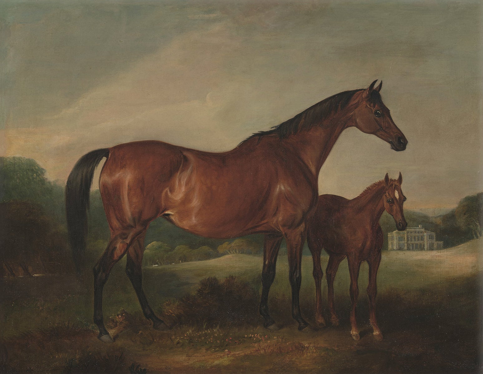 Vintage Equestrian Art Print 707044 |  Unframed